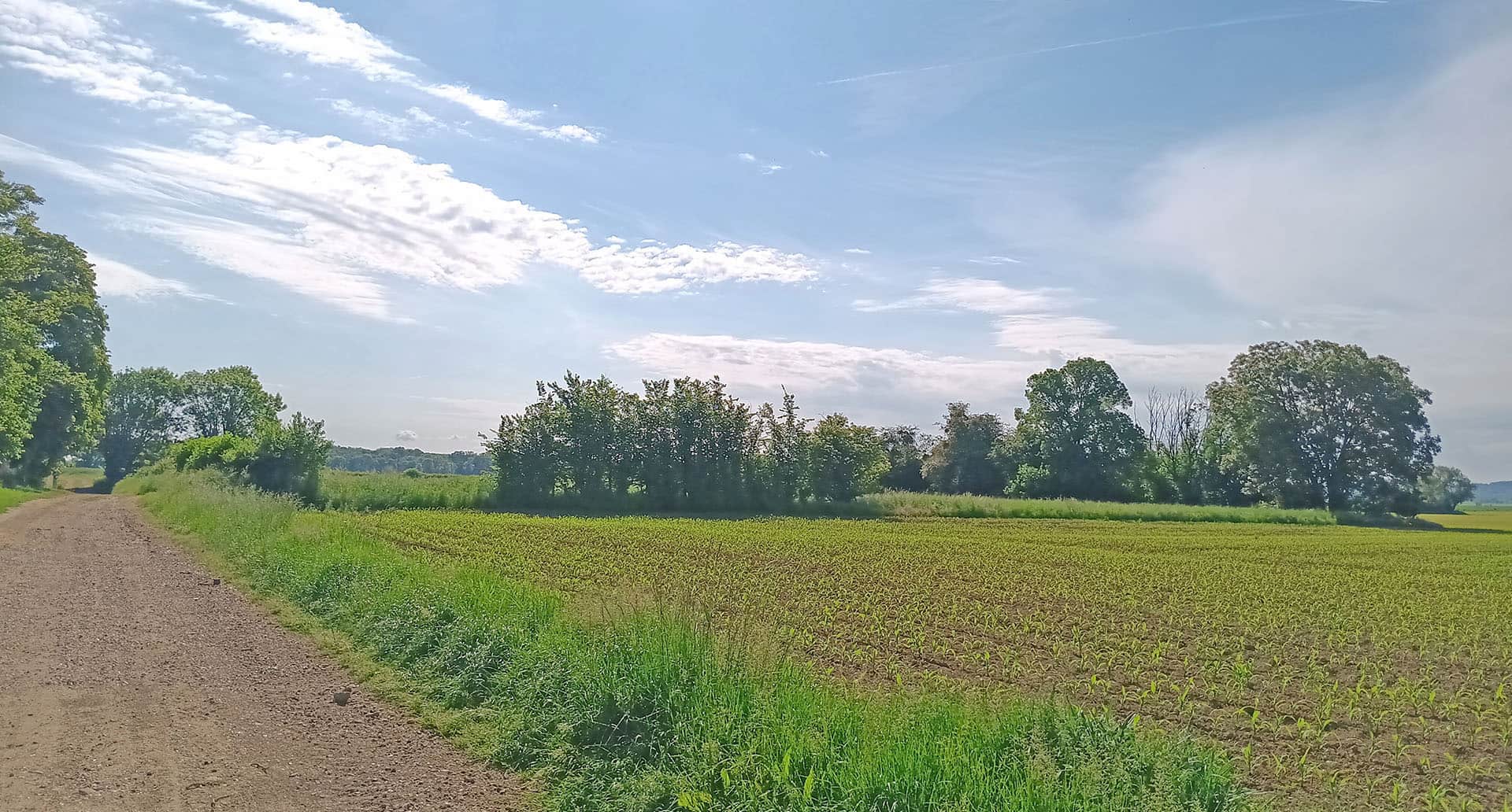 amenagement-agricole-rn31 (1).jpg