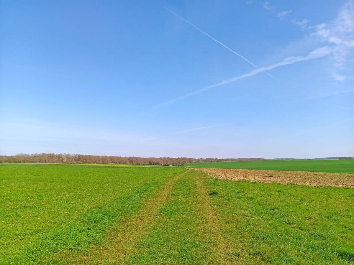Aménagement foncier agricole Boissy-Fresnoy