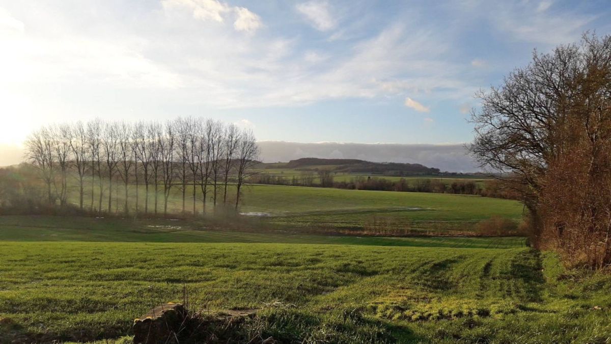 Aménagement foncier agricole et forestier